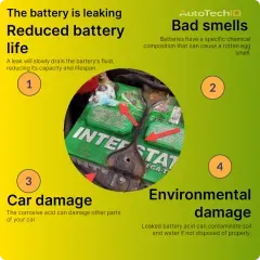 Common results of a leaking battery includes reduced battery life, bad smells, car damage and environmental damage