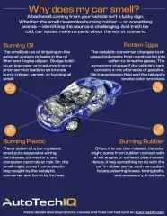 Why Does My Car Smell   Info Graphic