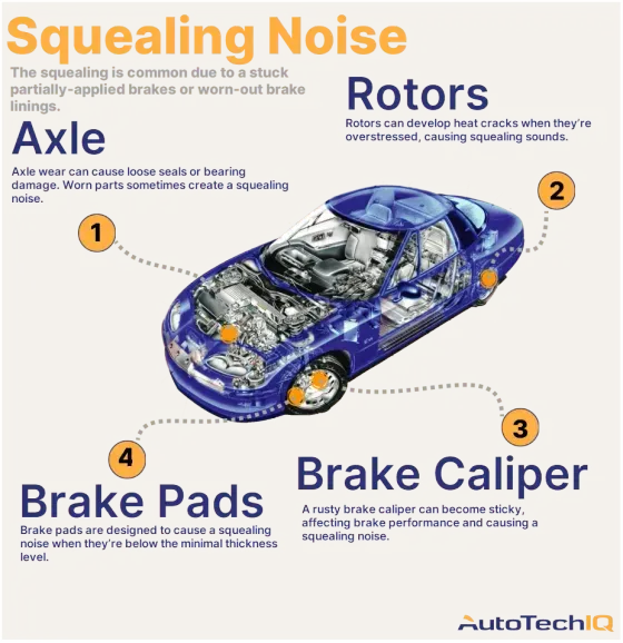 Four common causes for a squeaking noise from the vehicle and their related parts.