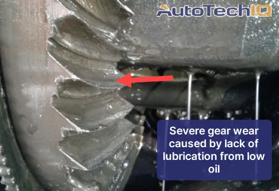 Lack of oil means lack of lubrication and damage to car components, especially gears