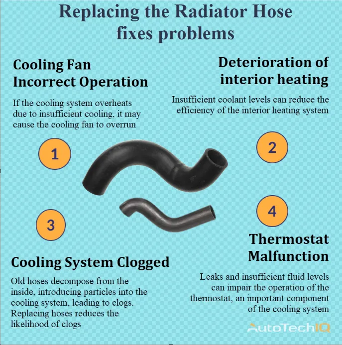 The Radiator Hose with information about the need for Replacing