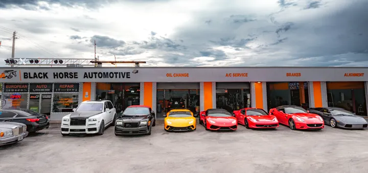 Black Horse Automotive - European Auto Repair