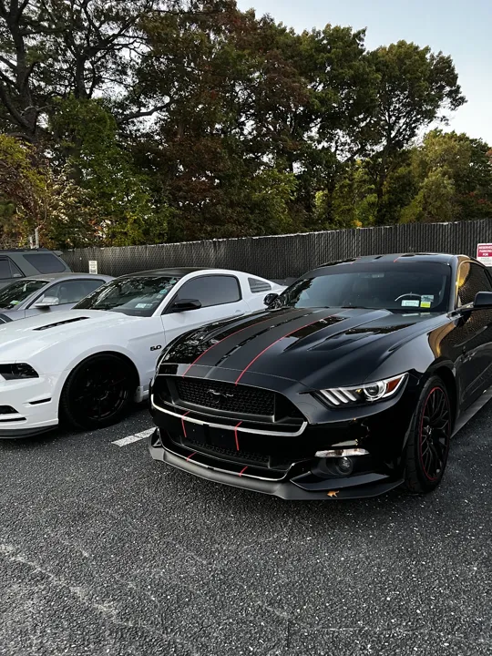 Mustang Magic & American Muscle