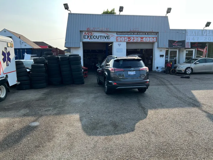 Mr. Executive Automotive