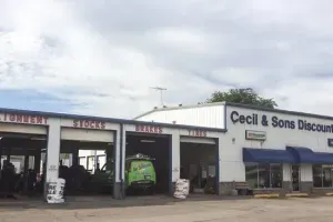 Cecil & Sons