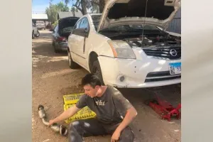 Carbondale Mobile Mechanic