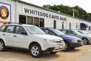 Whitedog Import Auto Repair