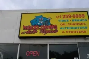 MADD DAWG AUTO & TIRE REPAIR LLC