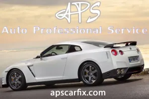 Auto Professional Service